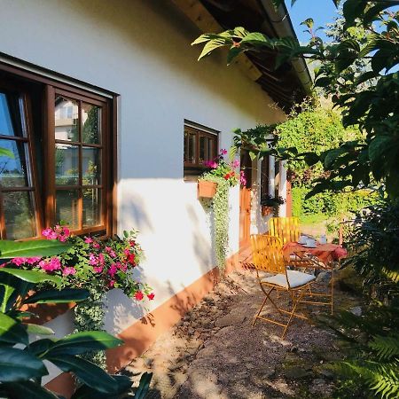 Ferienhaus Zirbe Rickenbach  Экстерьер фото