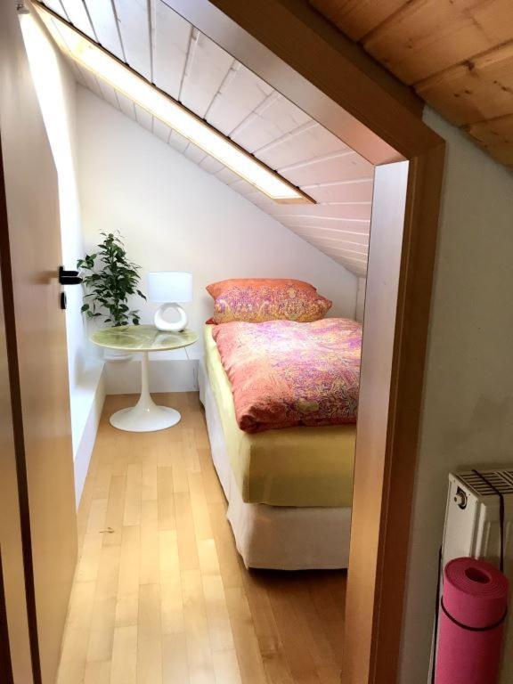 Ferienhaus Zirbe Rickenbach  Экстерьер фото